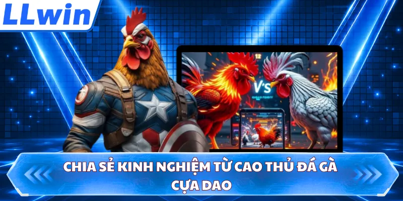 Chia sẻ kinh nghiệm từ cao thủ đá gà cựa dao