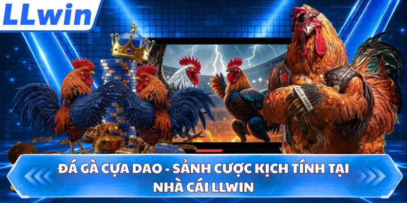 Đá Gà Cựa Dao - Sảnh Cược Kịch Tính Tại Nhà Cái LLWIN