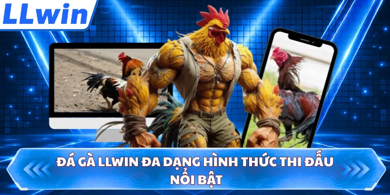 Đá gà LLWIN đa dạng hình thức thi đấu nổi bật
