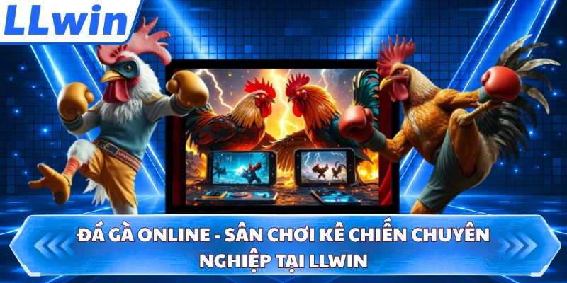 Đá Gà Online - Sân Chơi Kê Chiến Chuyên Nghiệp Tại LLWIN