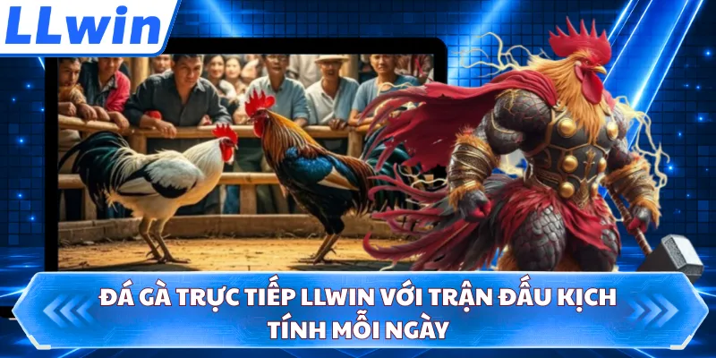 Đá Gà Trực Tiếp LLWIN Với Trận Đấu Kịch Tính Mỗi Ngày