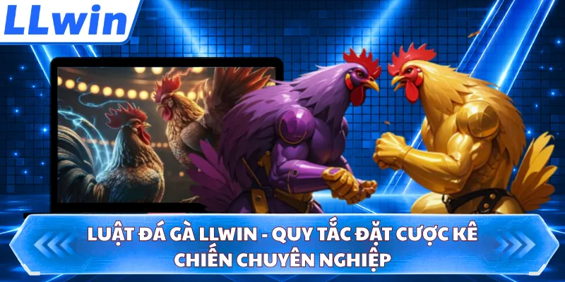 Luật Đá Gà LLWIN - Quy Tắc Đặt Cược Kê Chiến Chuyên Nghiệp