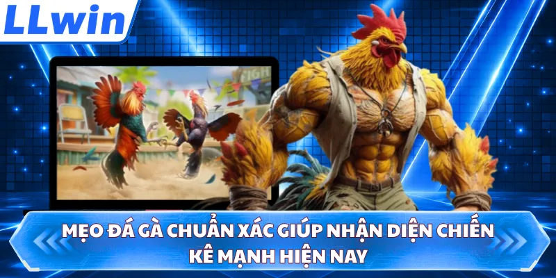 Mẹo Đá Gà Chuẩn Xác Giúp Nhận Diện Chiến Kê Mạnh Hiện Nay