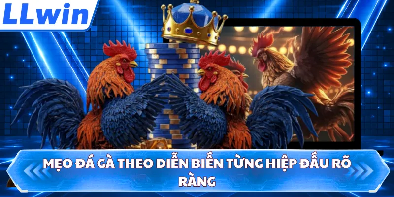 Mẹo đá gà theo diễn biến từng hiệp đấu rõ ràng